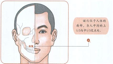 人中作用|人中穴(水沟穴)位位置图